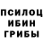 Псилоцибиновые грибы Psilocybine cubensis sBLACKsMAMBAs
