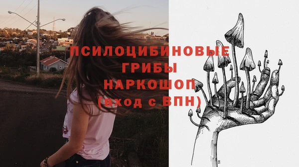 метадон Алексин